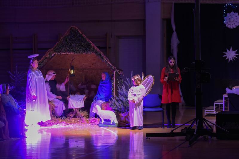 Image 5555773 (auto)