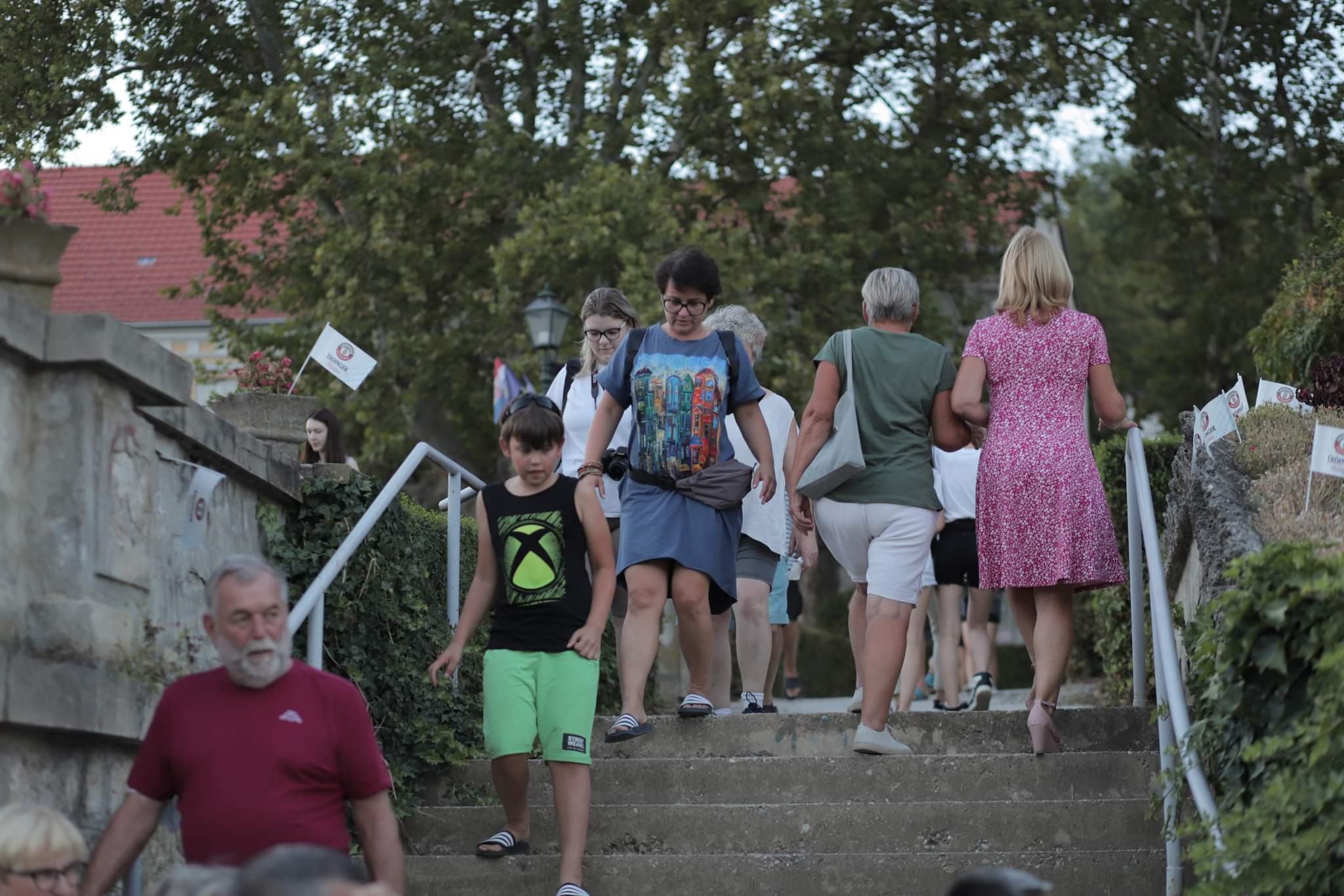 Image 5440256 (auto)