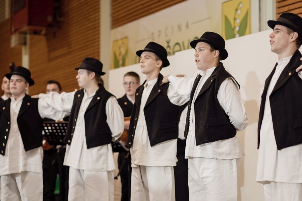 Image 5911803 (auto)