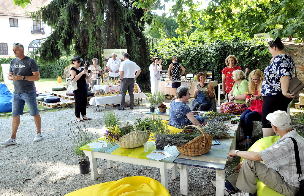 Festival dvorišta 2019., jutarnji dio