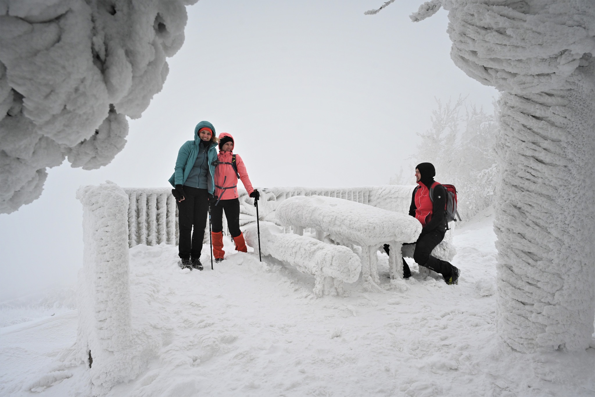 Ivanščica snijeg zima prognoza planina šuma