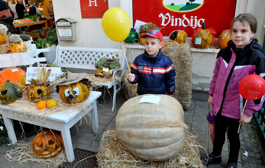 6. Festival tikvi 6. Festival tikvi