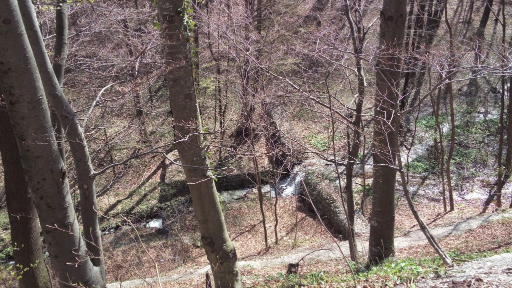 20150411122000834706