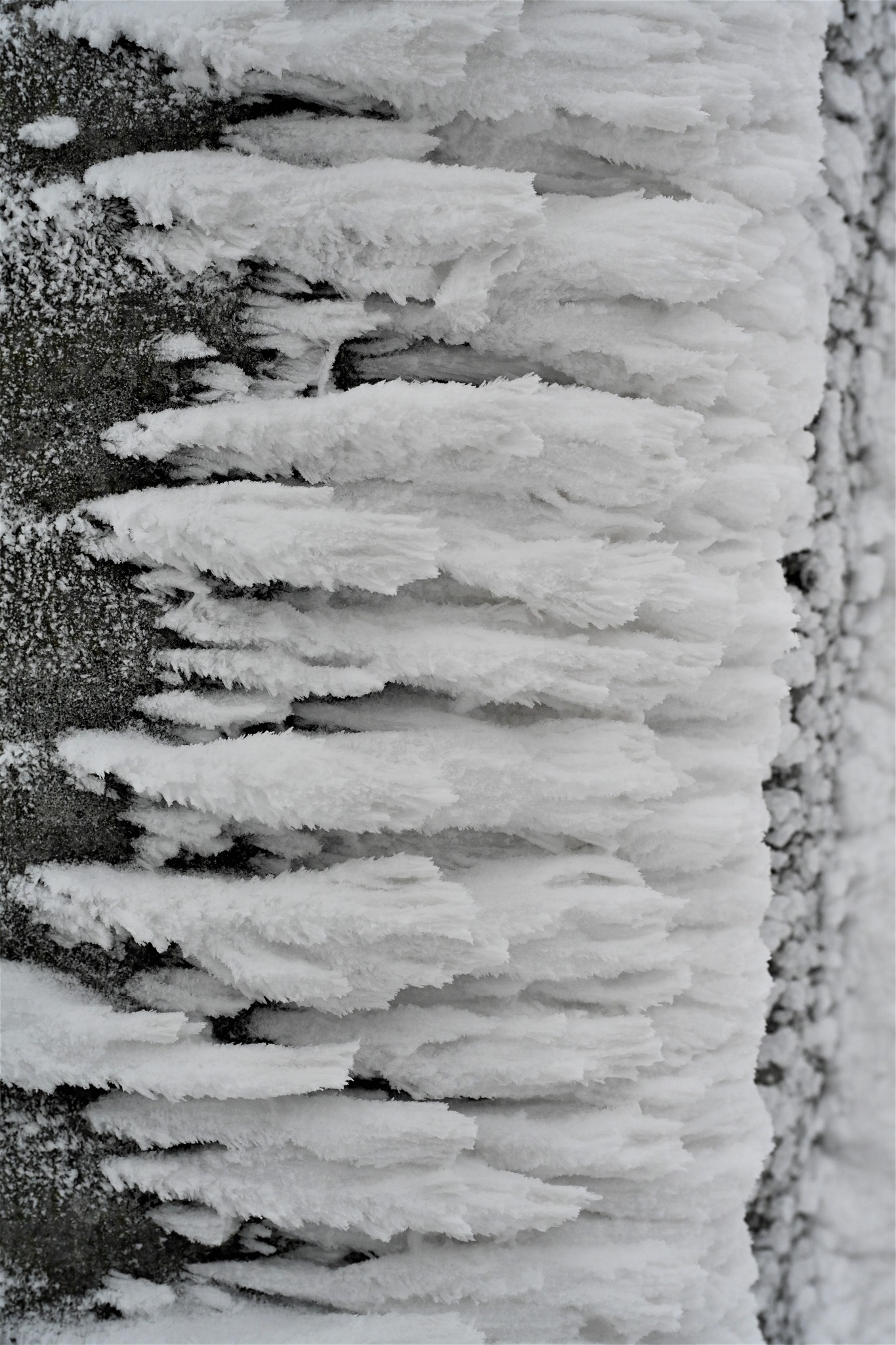 Ivanščica snijeg zima prognoza planina šuma