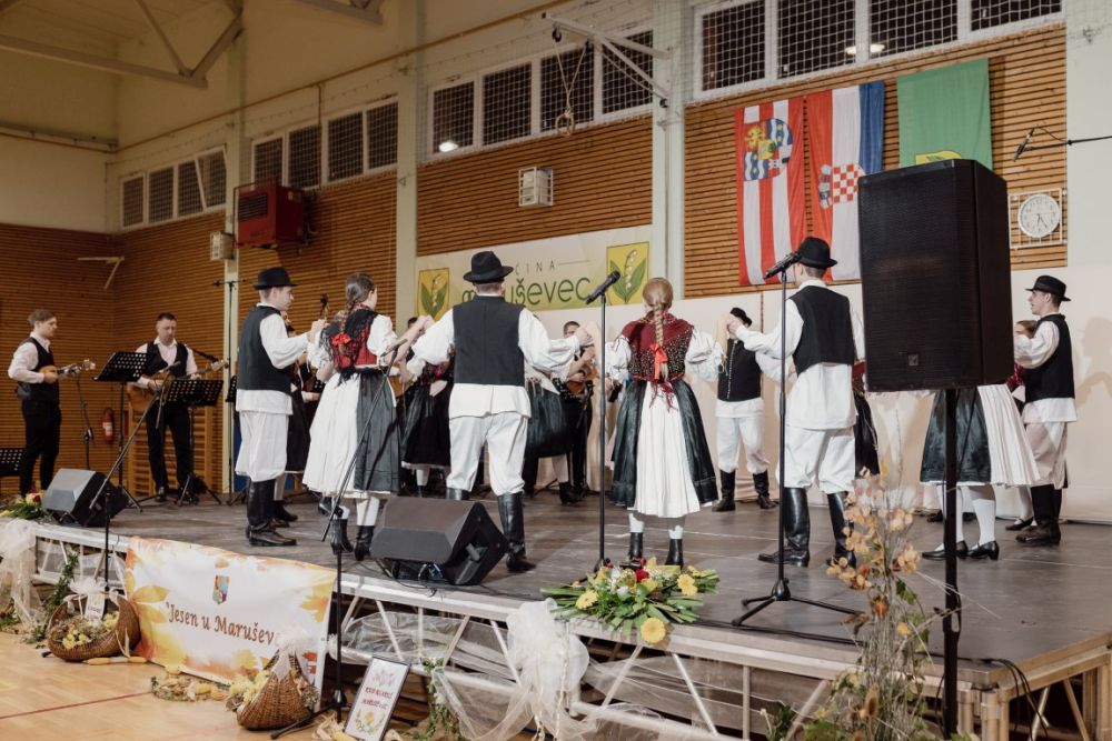 Image 5911767 (auto)