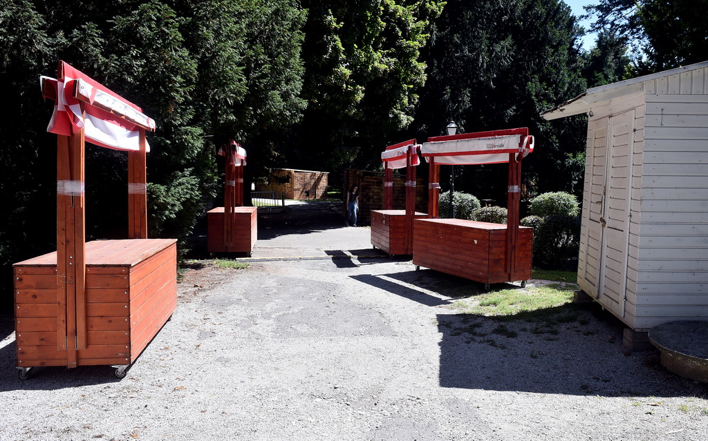 Image 4604878 (auto)