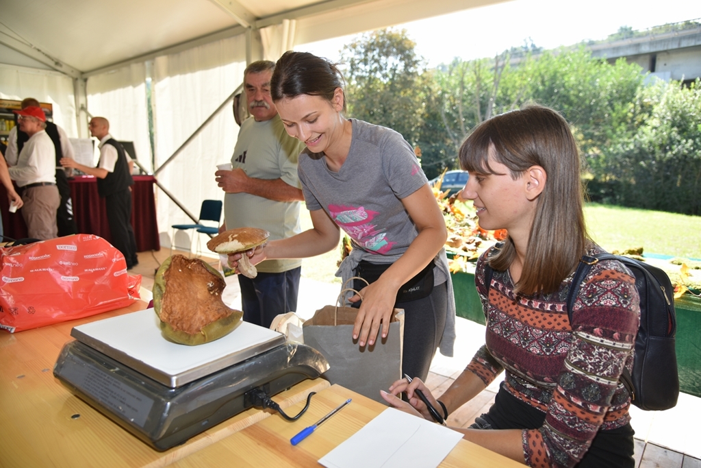 Dani vrganja u Paki 2018.
