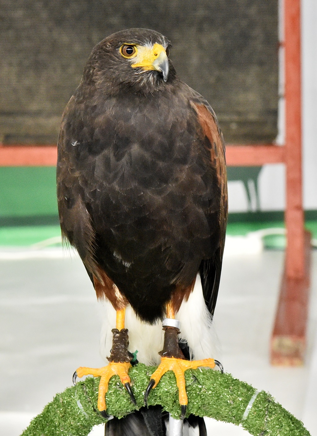 Sajam Lov ribolov priroda turizam