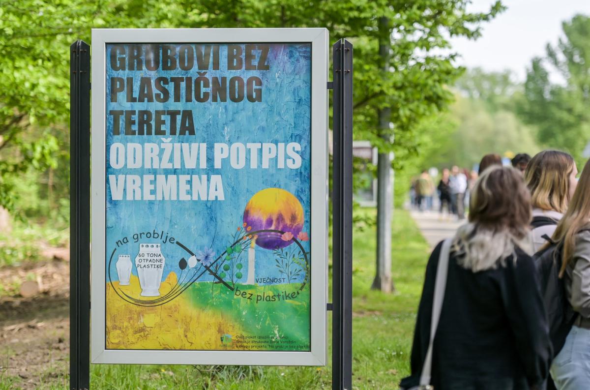 Image 6010483 (auto)