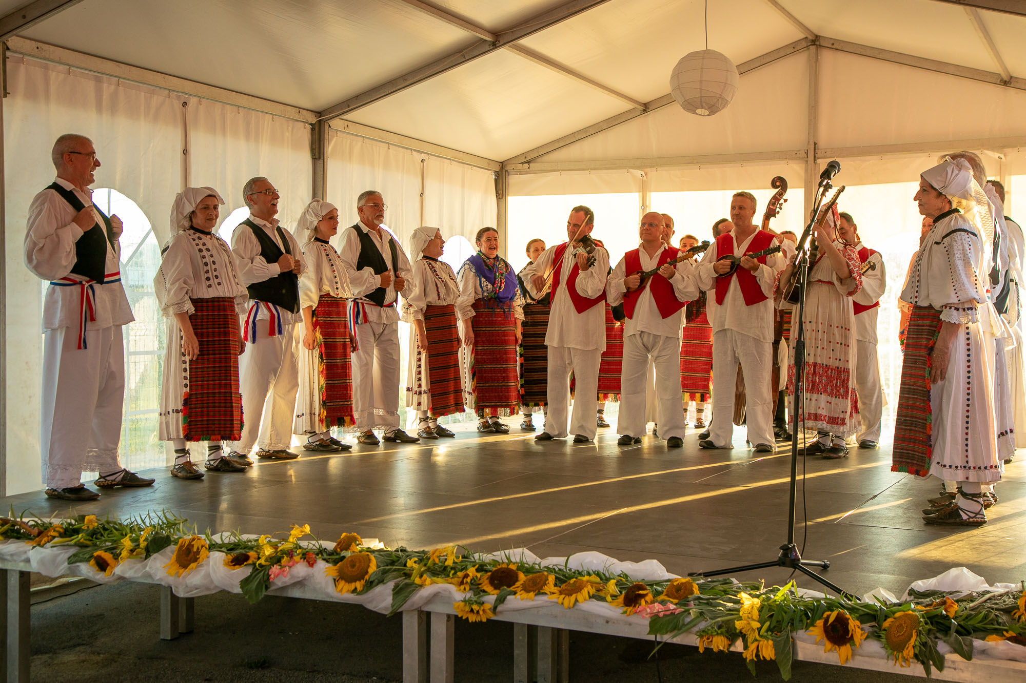 Image 5417370 (auto)