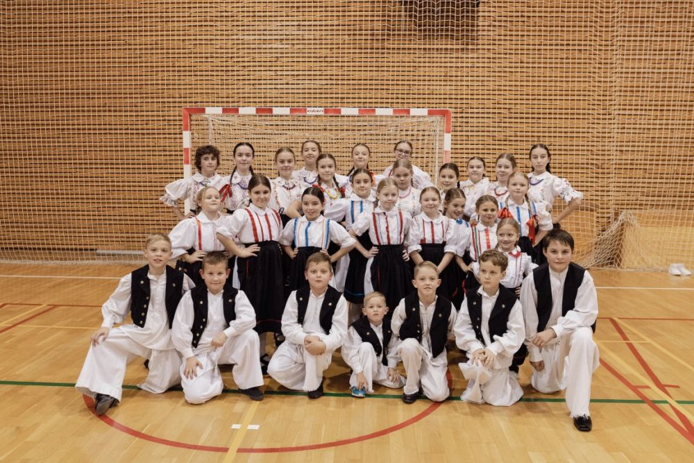 Image 5911807 (auto)