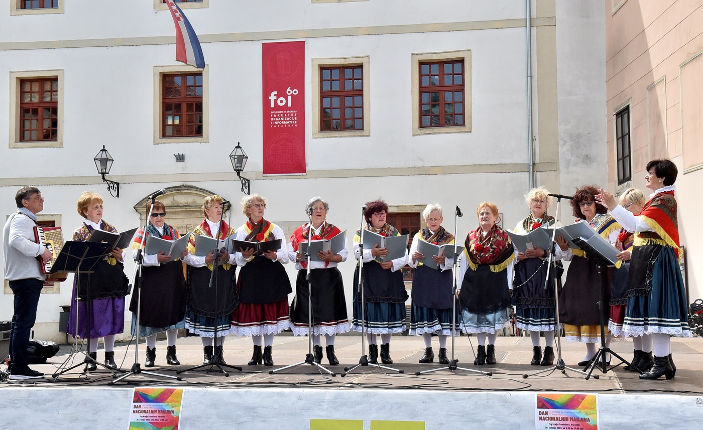 Sloveniija, Dan manjina