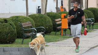 Image 5435194 (auto)