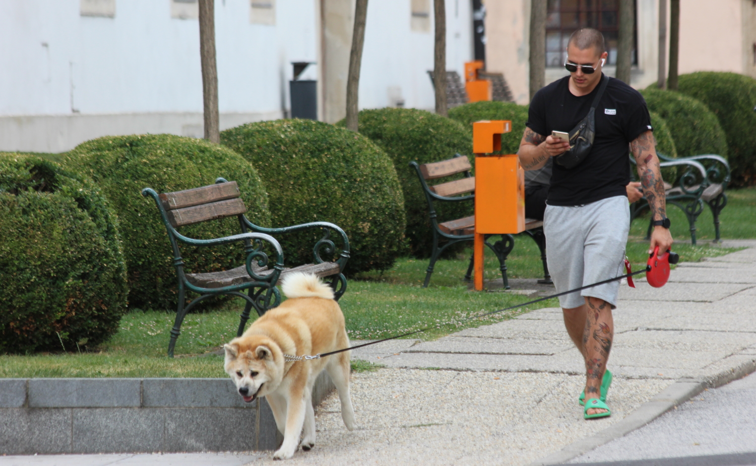 Image 5435194 (auto)