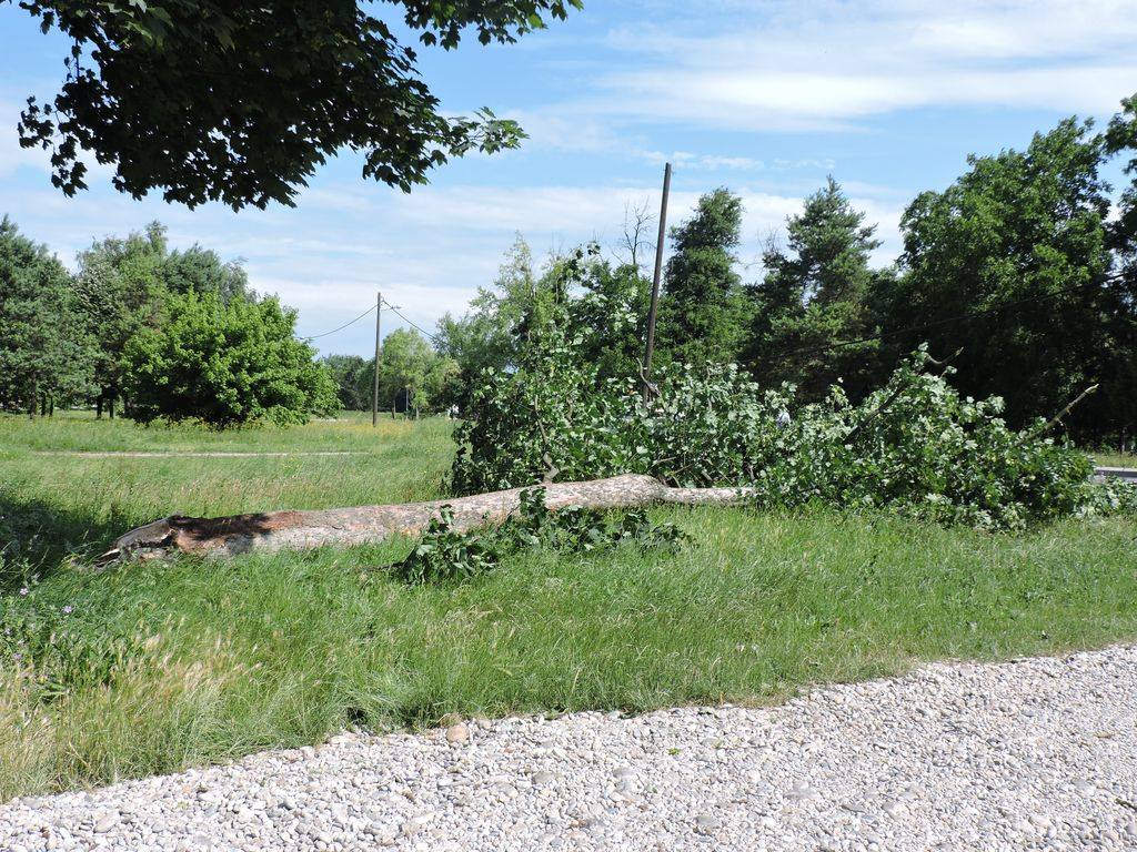 1153986310204056928606838123177