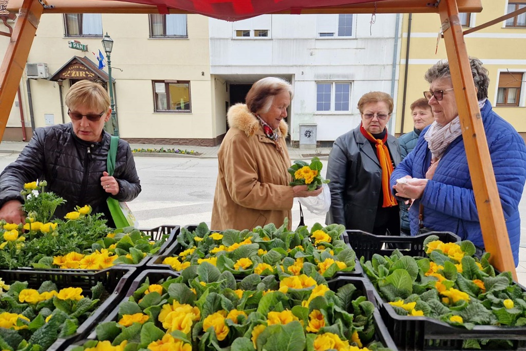 Image 5991045 (auto)