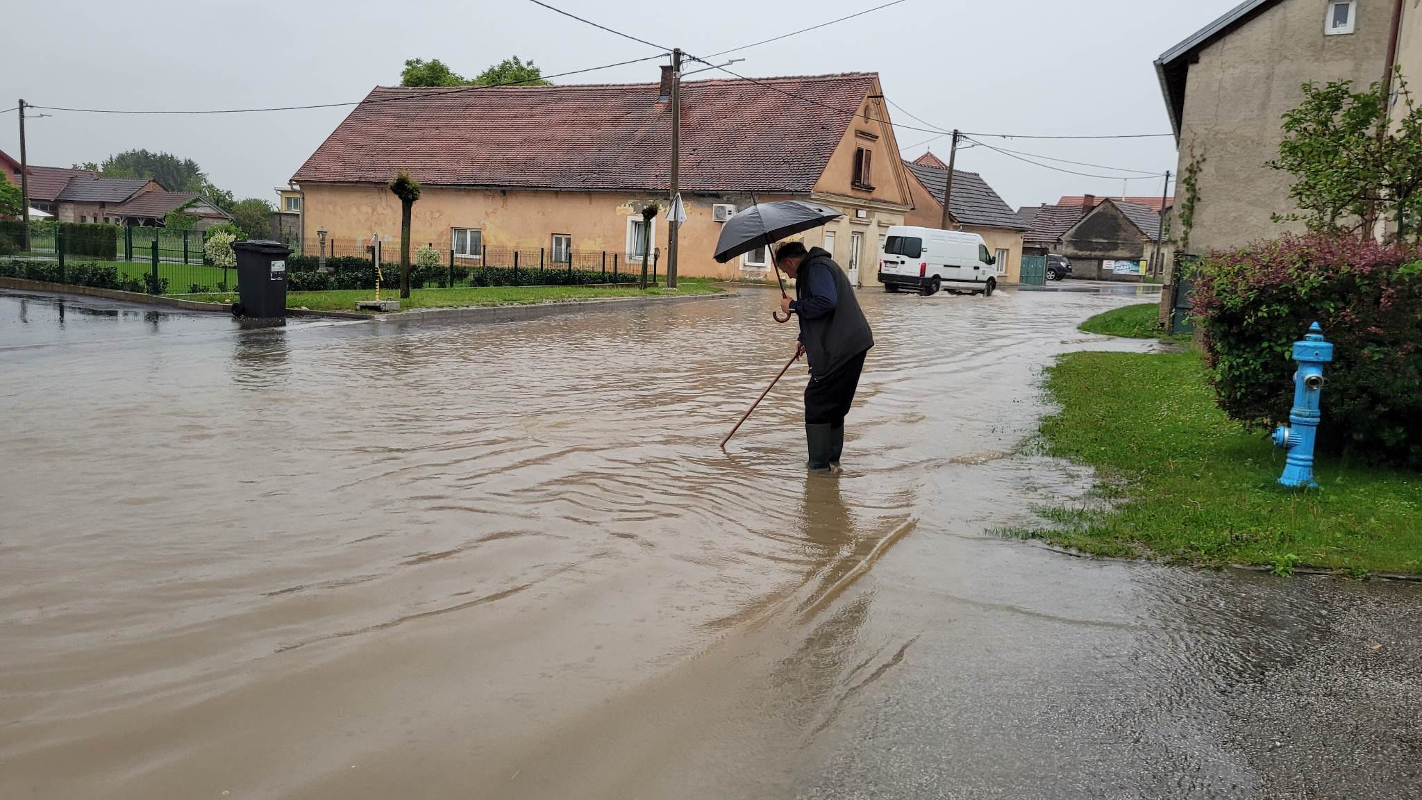 Image 5696737 (auto)