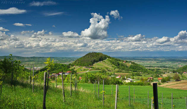 Ivanščica proljeće – Zoran Stanko
