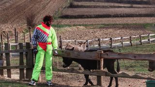 Image 4112797 (auto) Image 4112797 (auto)