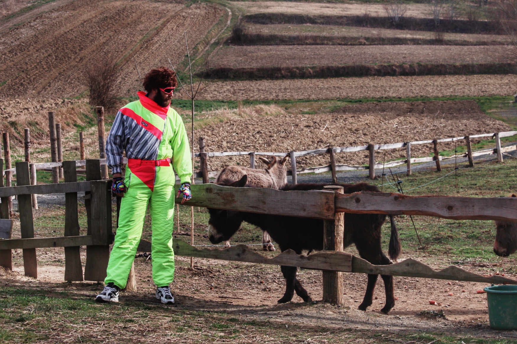 Image 4112797 (auto) Image 4112797 (auto)