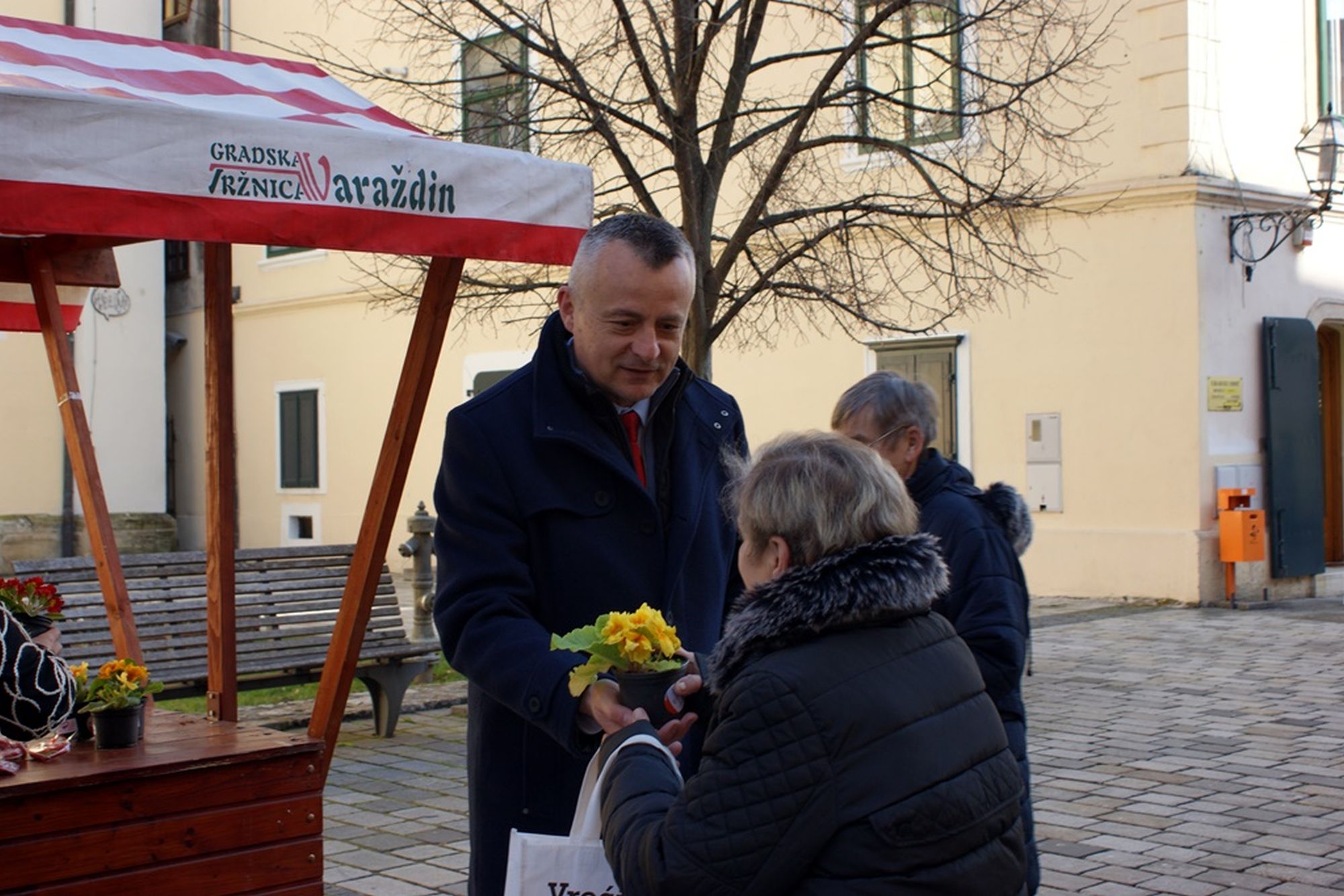 Image 5621885 (auto)