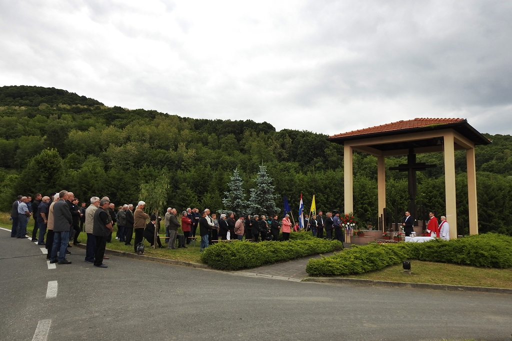 Image 4499598 (auto)