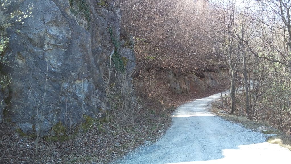 20150411120347515882