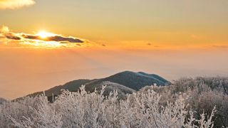 ivančica ivanščica