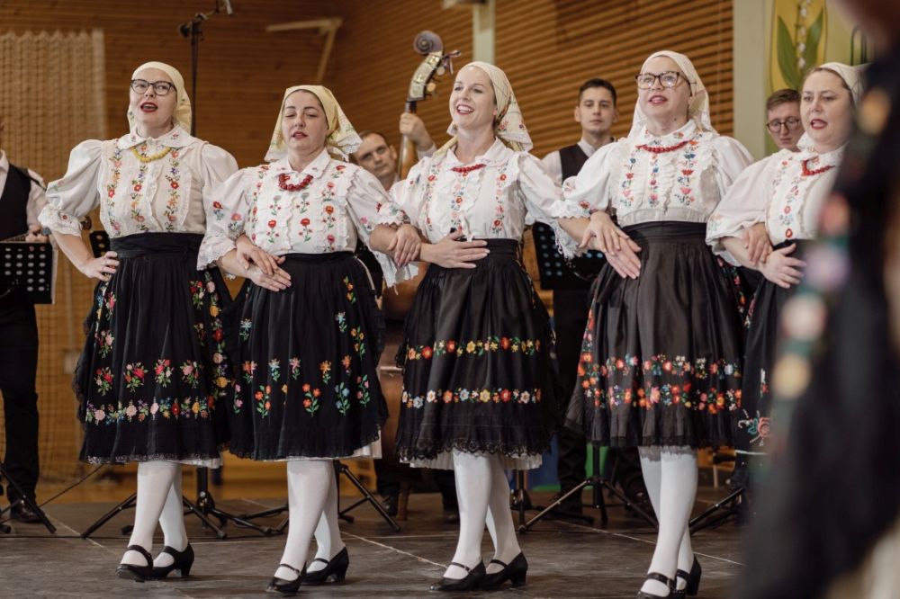 Image 5911819 (auto)