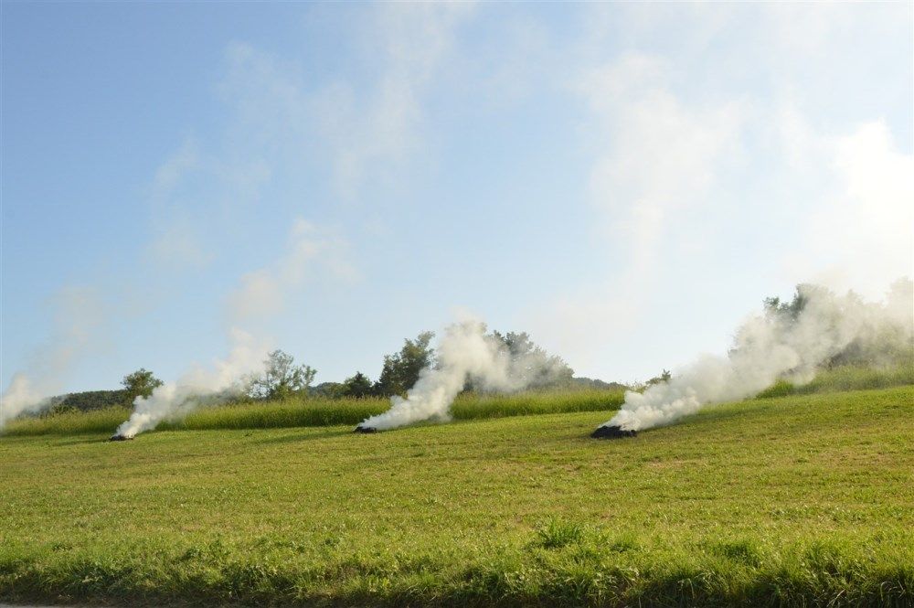 Image 3785827 (auto)