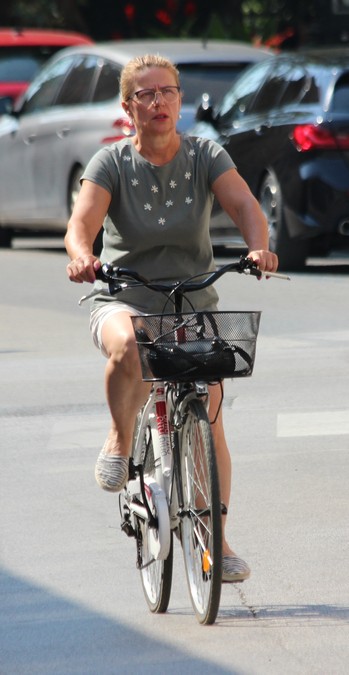 Image 5427532 (auto)