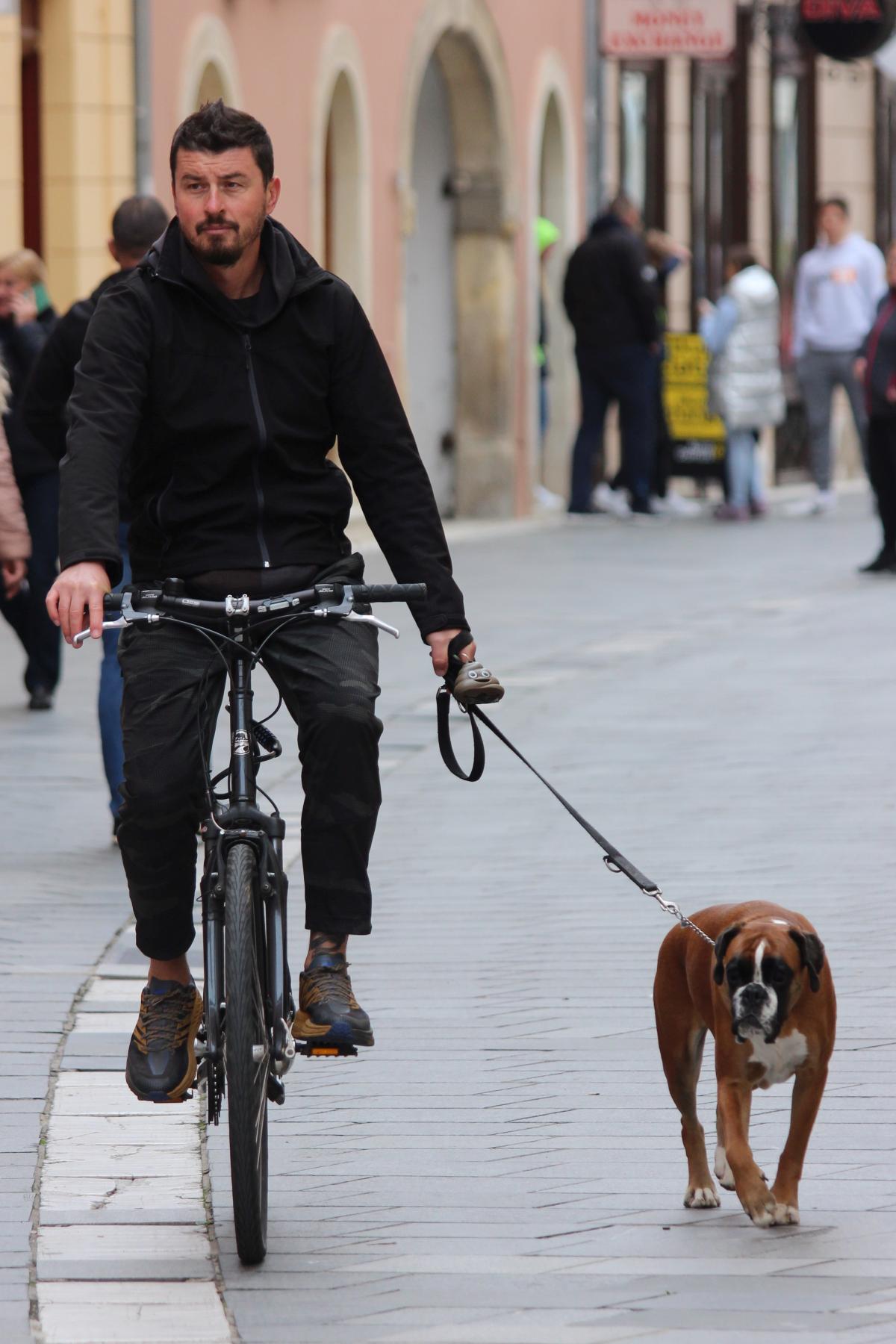 Image 5516032 (auto)