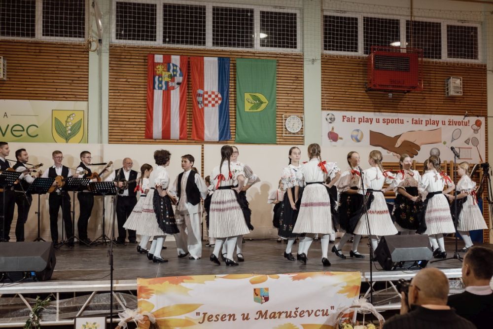 Image 5911779 (auto)