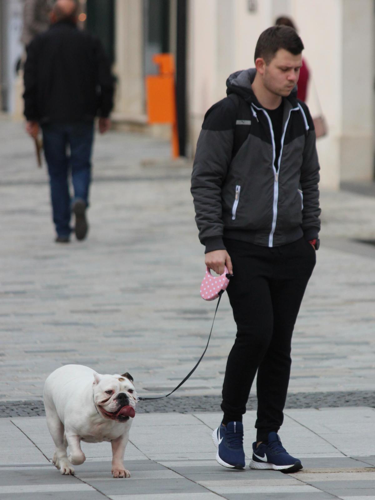 Image 5103096 (auto)