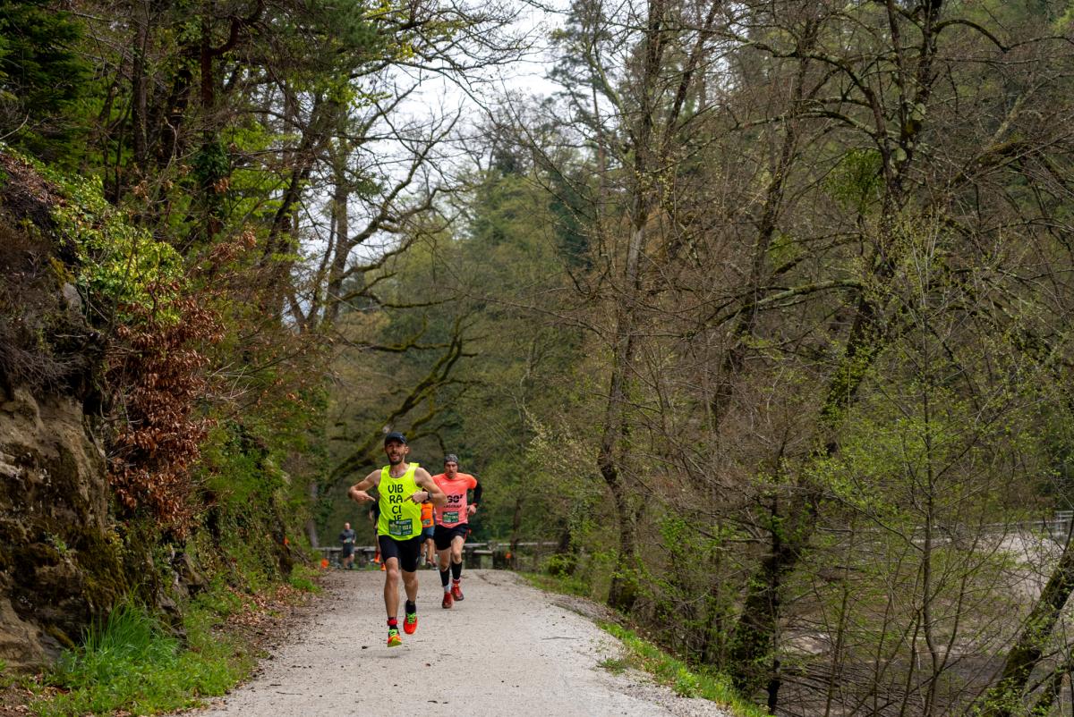 Image 5331056 (auto)