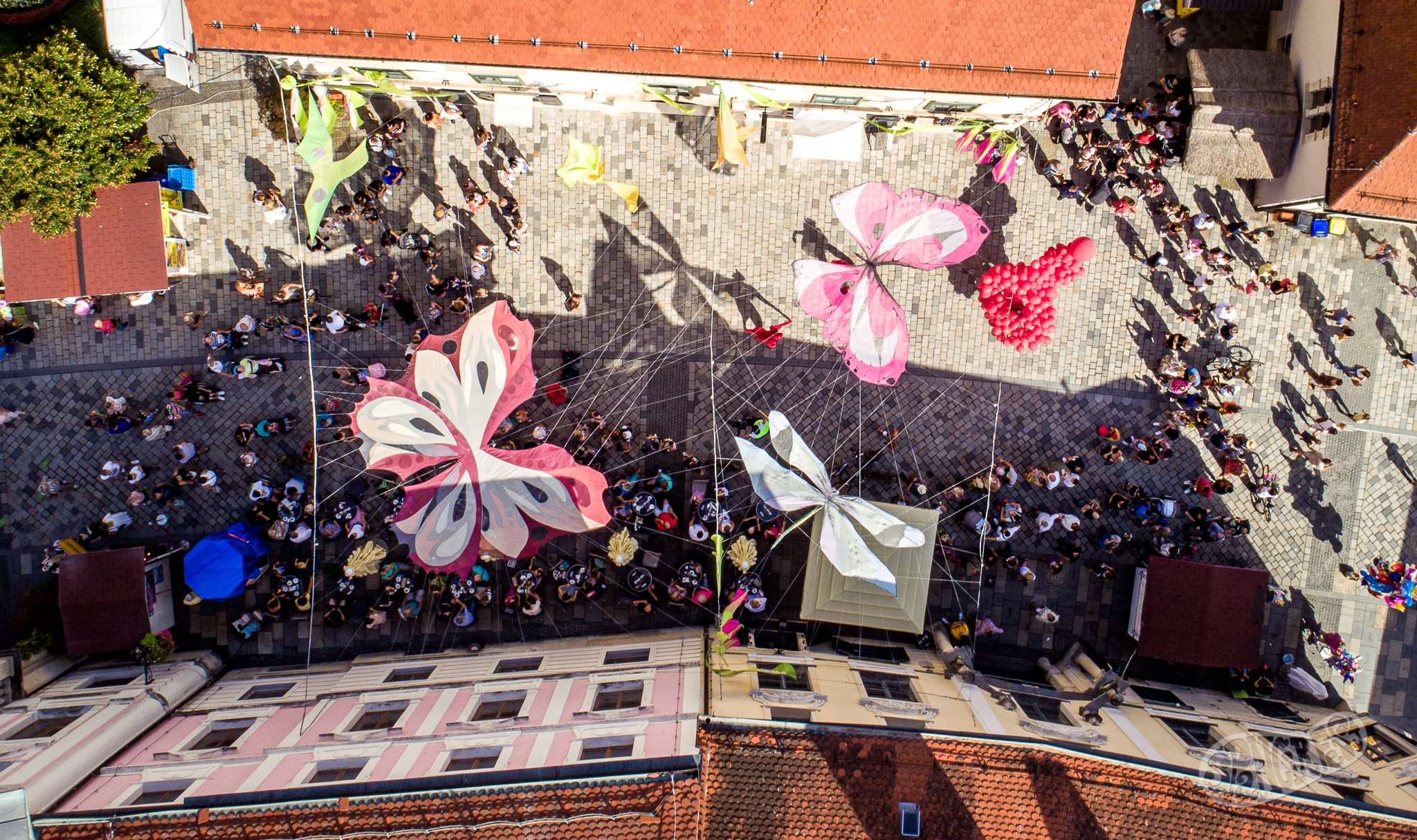 Image 5460162 (auto)