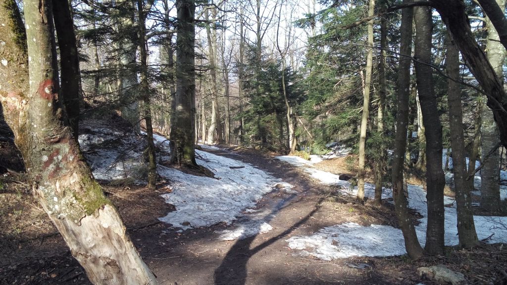 20150411094706856602