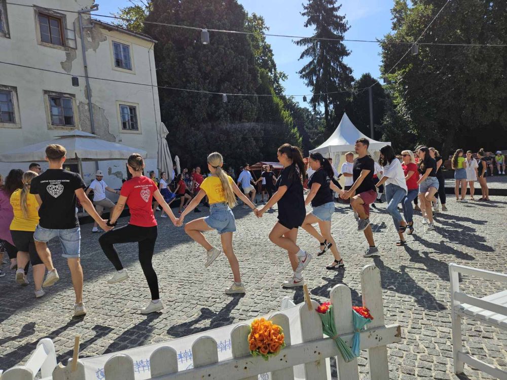 Image 5834319 (auto)