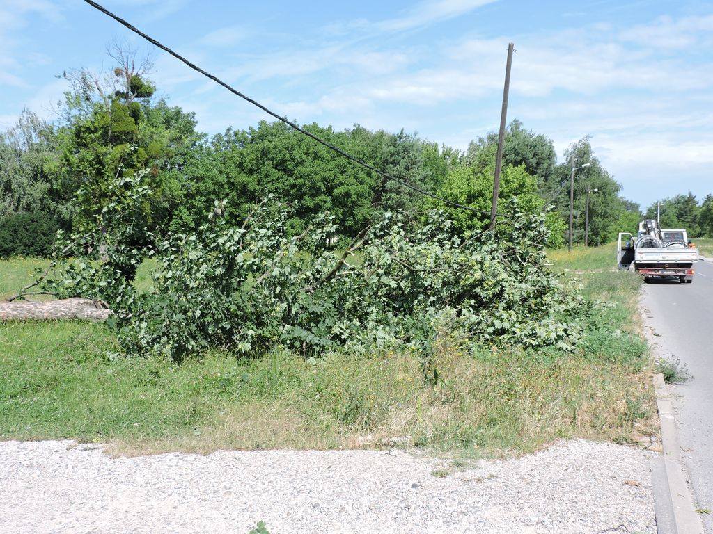 1163854410204056928326831109910