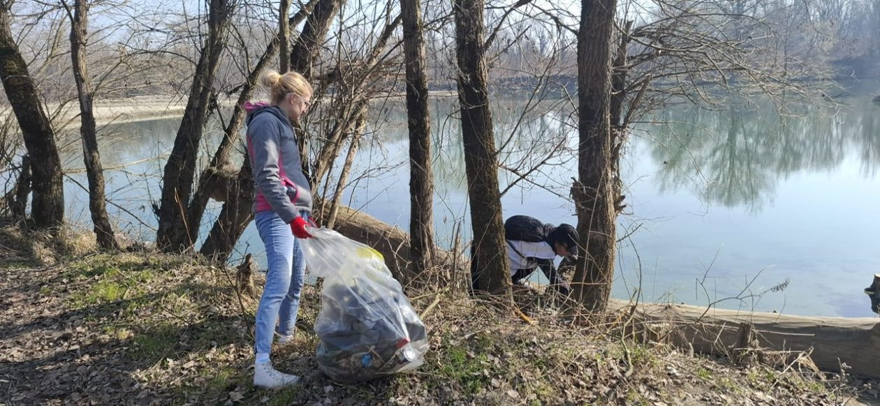 71771206-2266-47b4-9ac1-b2b76372ace1 71771206-2266-47b4-9ac1-b2b76372ace1