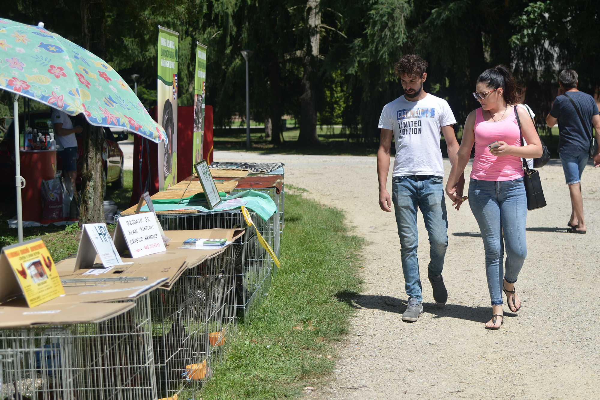 Konjičke i igre u Zelendvoru Konjičke i igre u Zelendvoru
