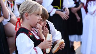 Image 5419016 (auto)