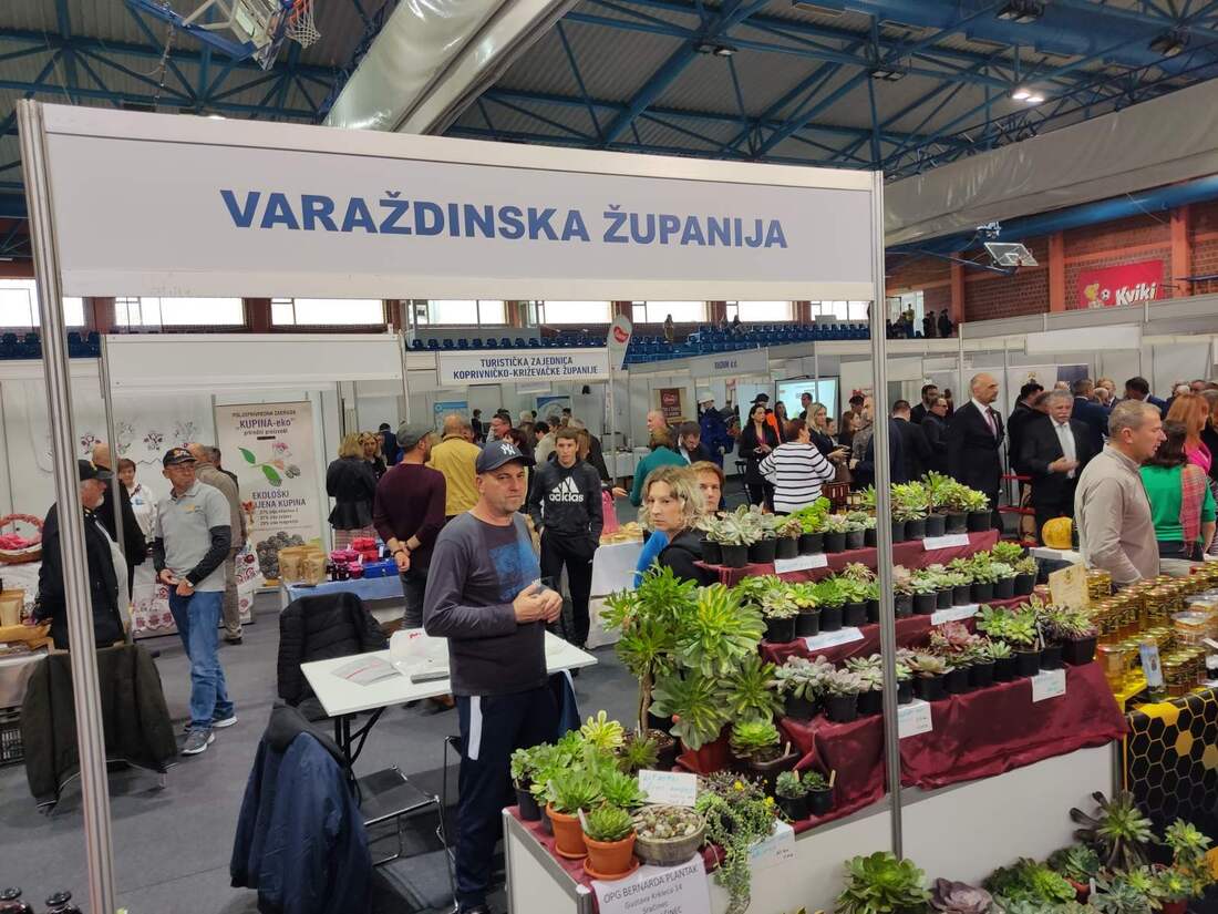 Image 5520678 (auto)