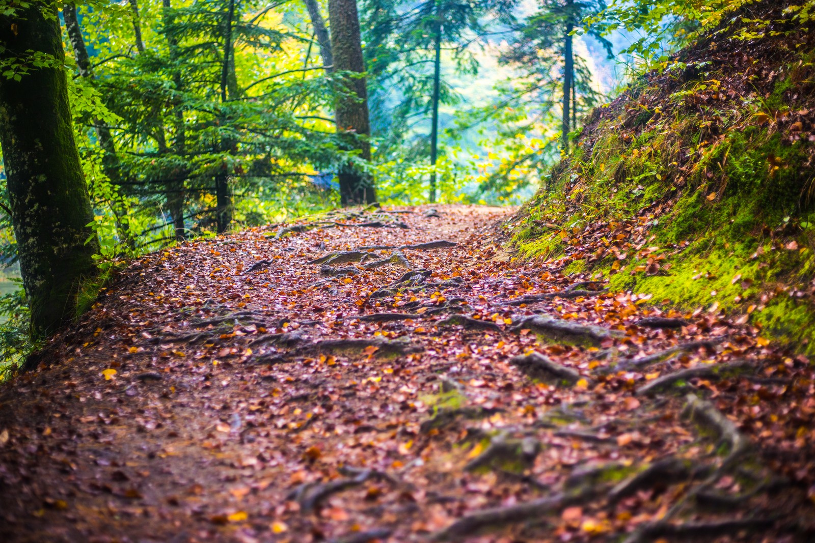 Jesen u Trakošćanu