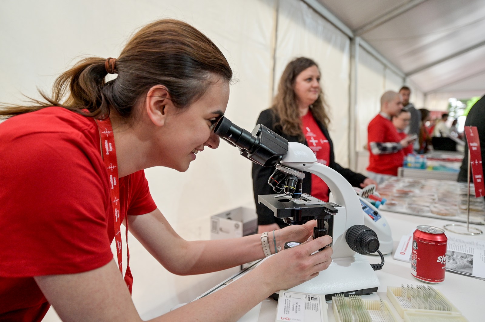 Image 5668891 (auto)