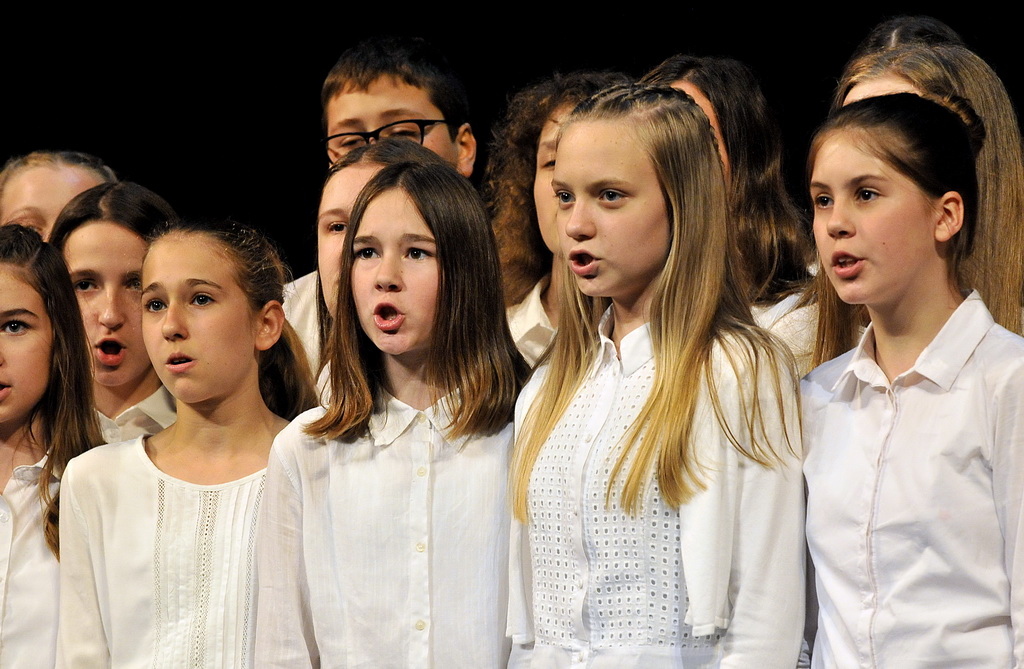 Mali koraci dobrote, Šesta osnovna škola Varaždin, dobrotovorni koncert