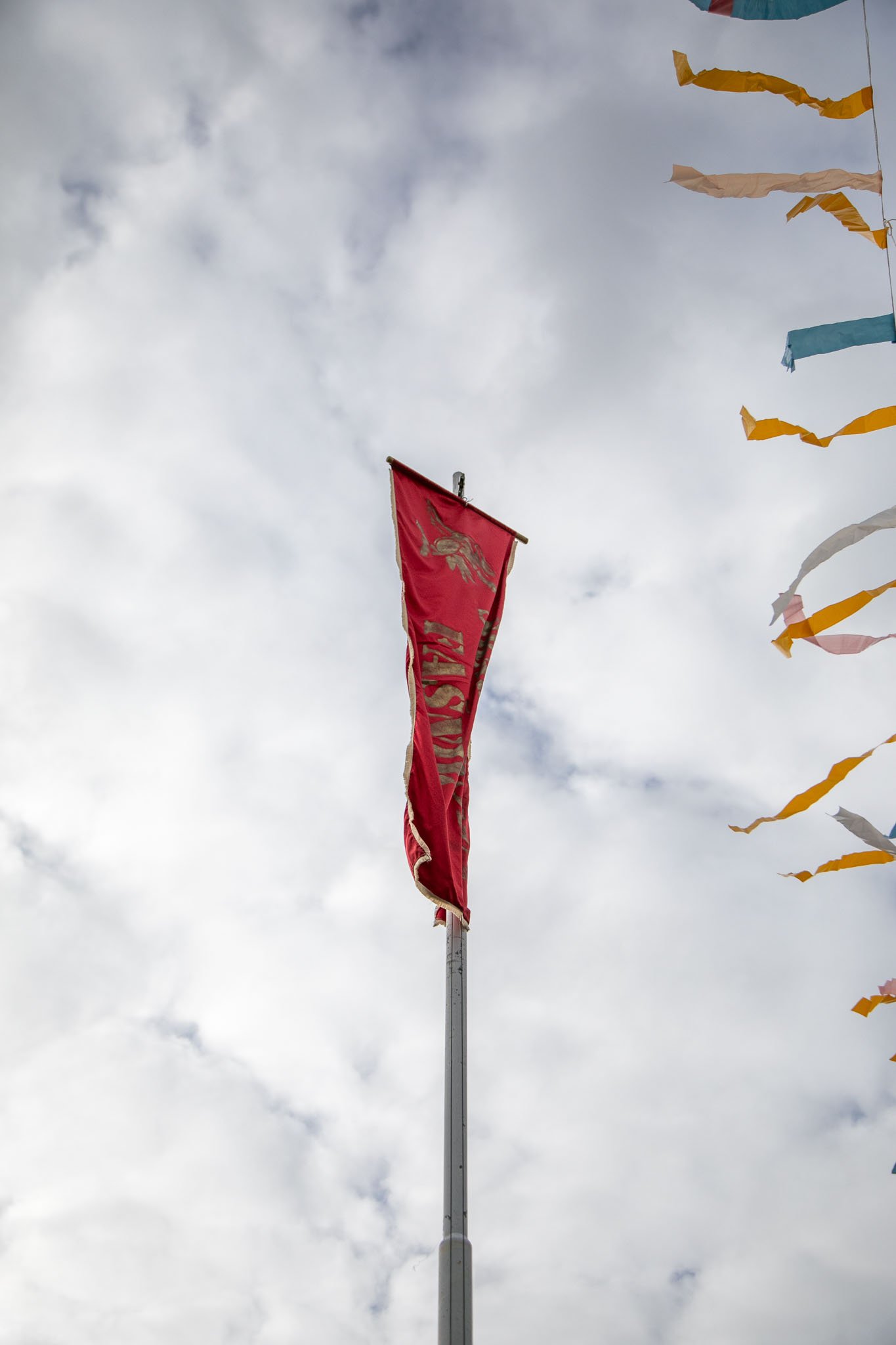 Image 5966059 (auto)