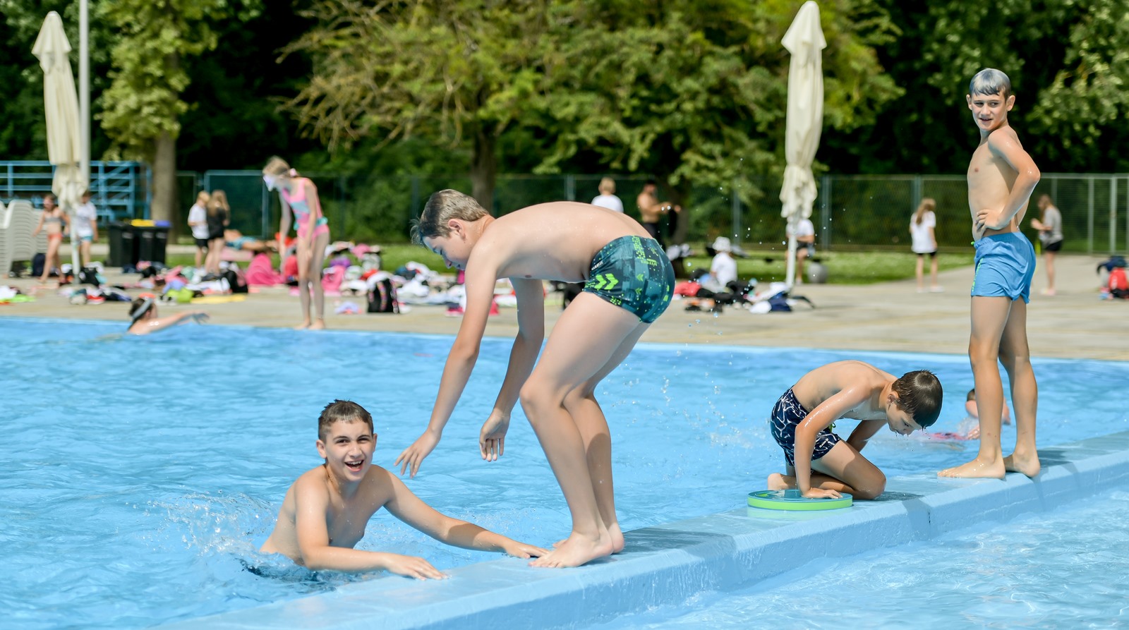 Image 5758285 (auto)