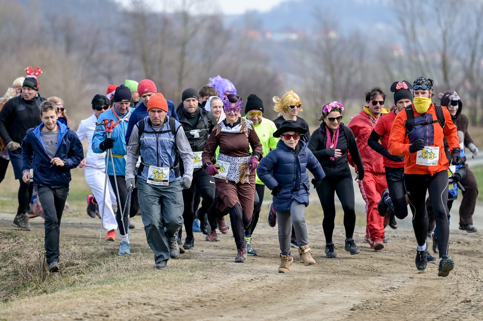 Image 5606351 (auto)