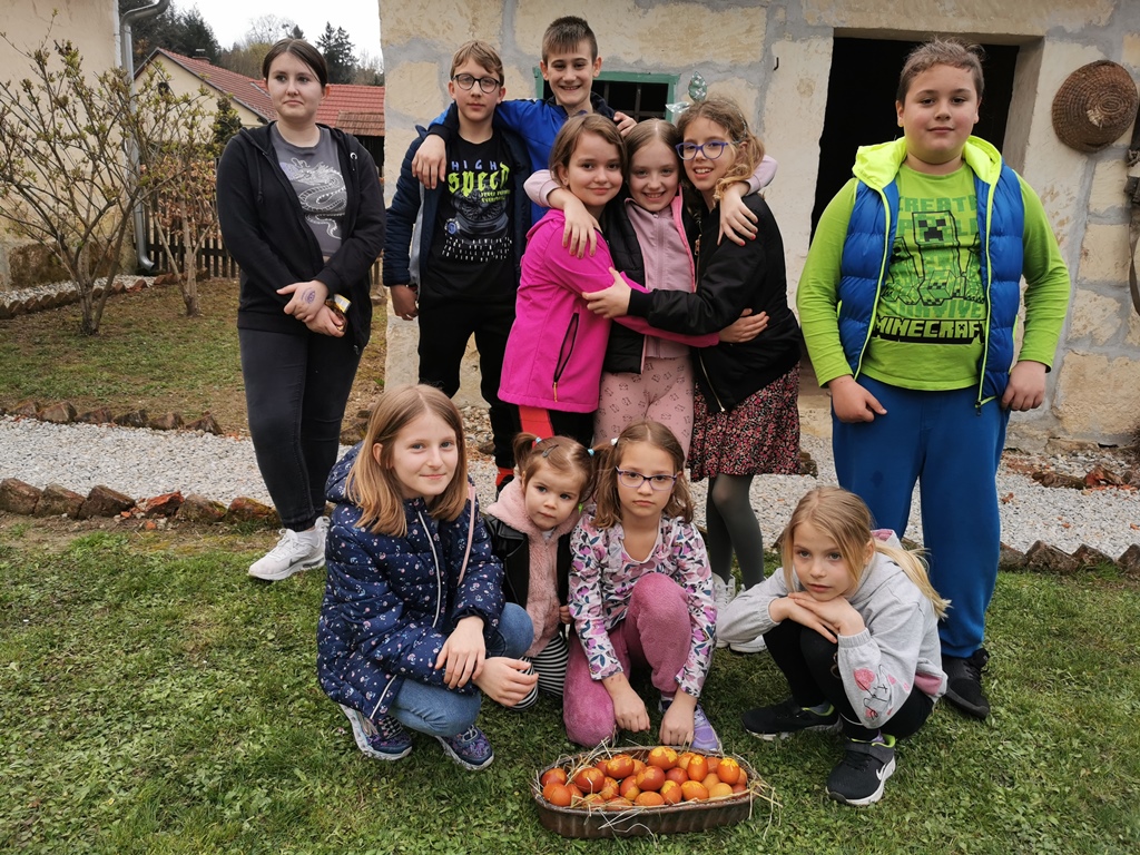 Image 6004441 (auto)